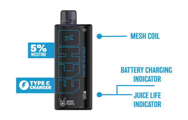 Echo 8k Disposables 5% - 10 Flavors