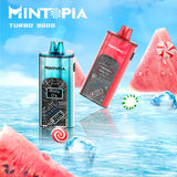 Mintopia Turbo 9000 Disposables 5%