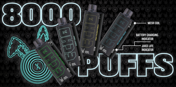 Echo 8k Disposables 5% - 10 Flavors